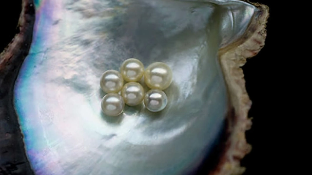 6 Pearls of Wisdom From June