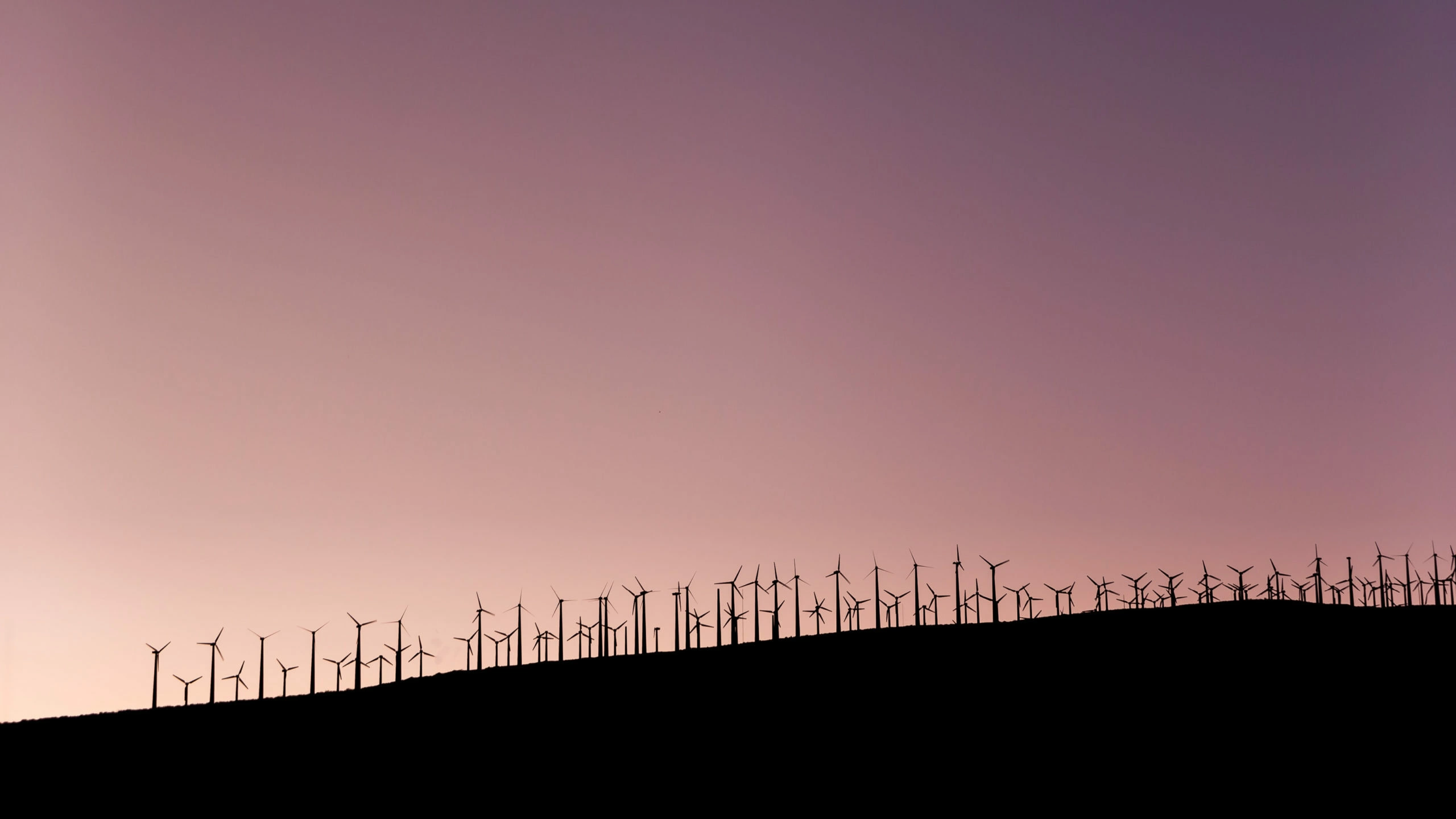 ESG ratings under scrutiny
