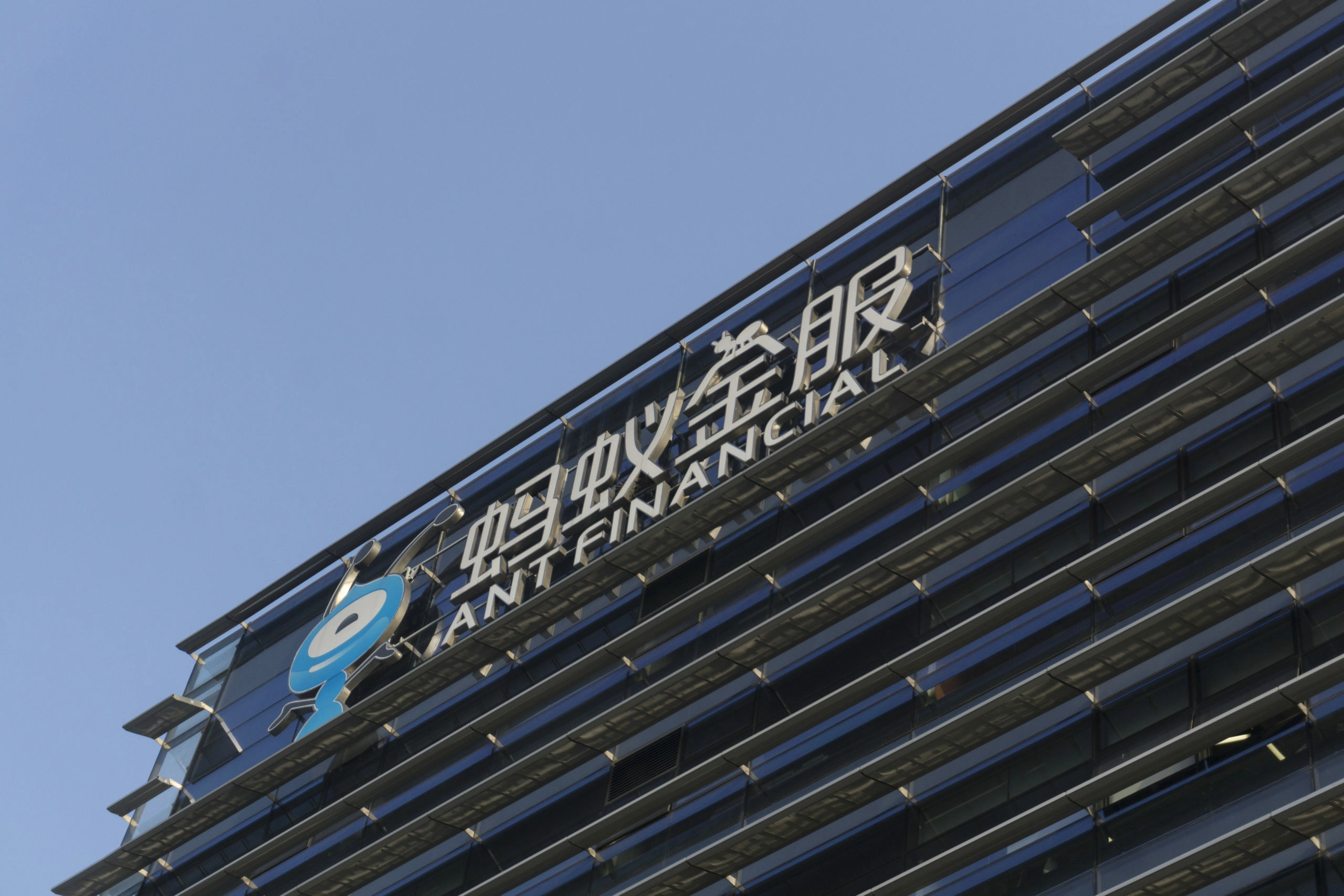 Financial Planner’s morning report – Market to open strongly as tech rally continues