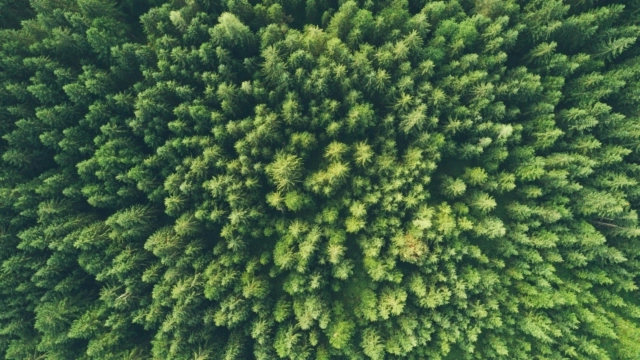 ASX update; a win for ESG