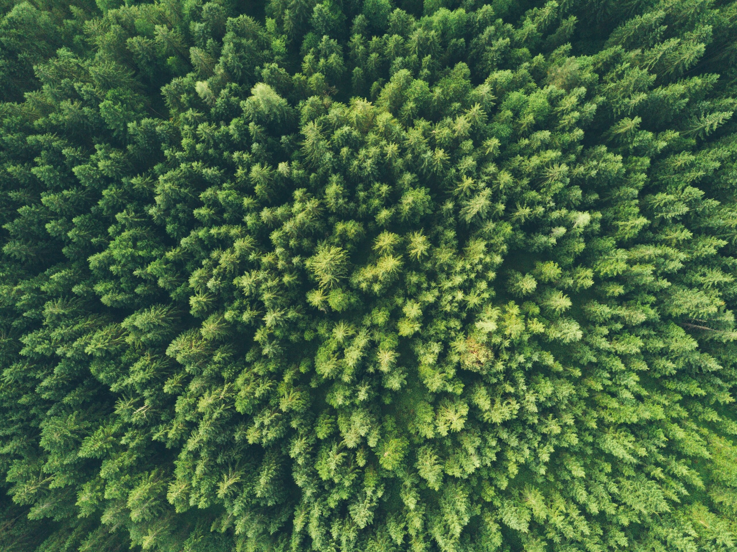 ASX update; a win for ESG