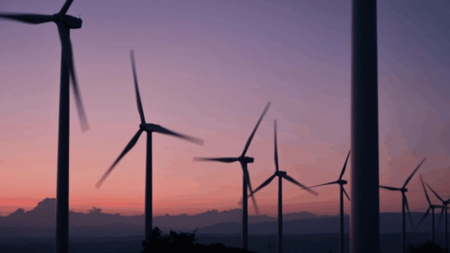 The energy transition path isn't linear, but engagement is the best compass: Pzena