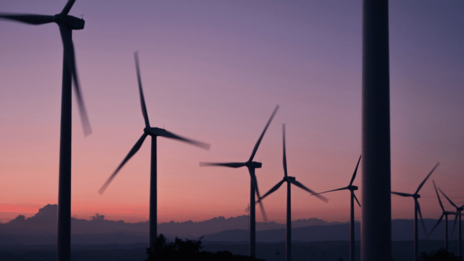 The energy transition path isn’t linear, but engagement is the best compass: Pzena